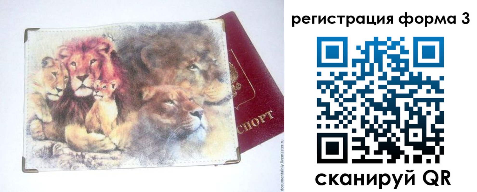 прописка в квартире в Архангельске